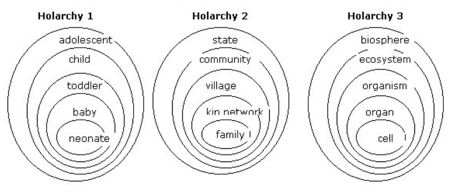 Holarchies as nested systems